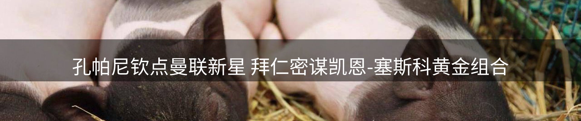 新闻动态