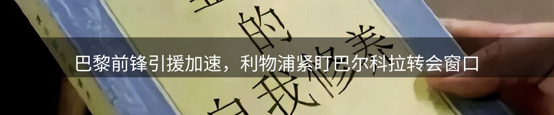 新闻动态