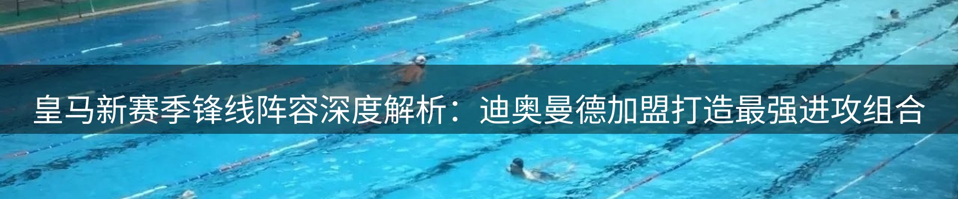 新闻动态