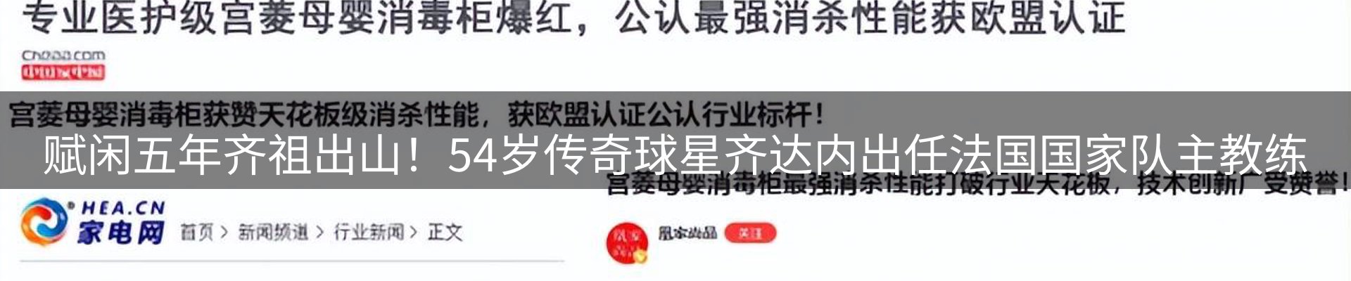 新闻动态