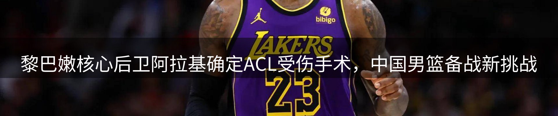 新闻动态